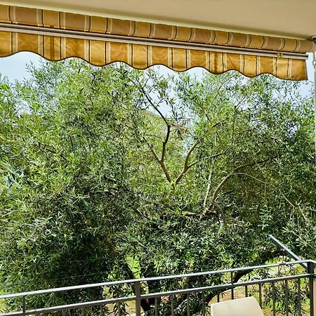 Apartment Oliva Novigrad Istria