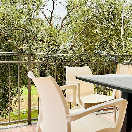Oliva Apartment
